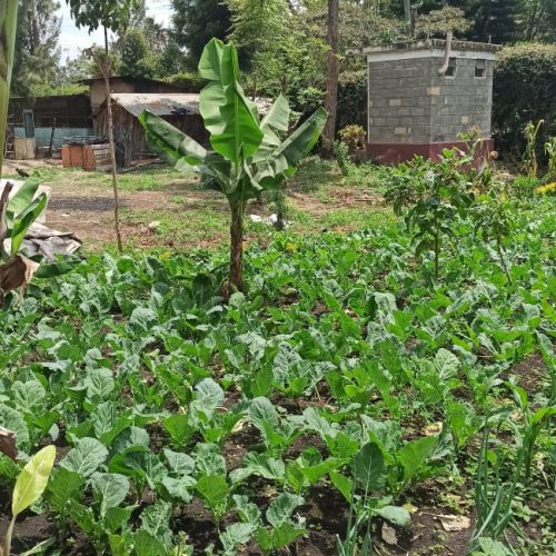 photo 2025 11 05 08 59 16