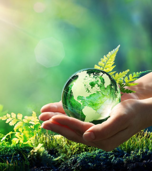 hands holding globe glass in green forest environment concept element of image furnished by nasa