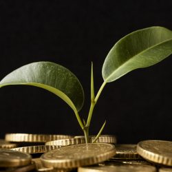 front view plant growing from coins